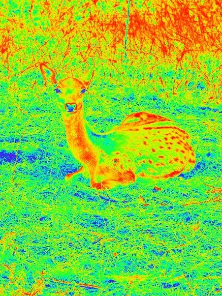 PV Thermografie